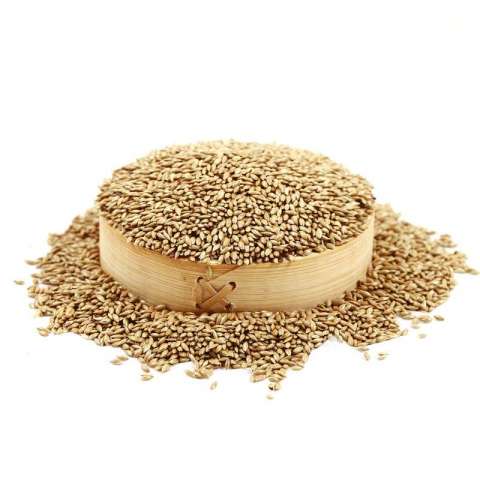 High Quality 100% Natural Canary Seeds  Bird Food For Sale In Bulk